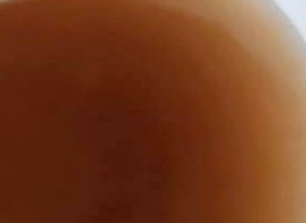 Priopćenje povodom predstavljanja istraživanja uzroka zamućenja vode u vodoopskrbnom sustavu Grada Karlovca